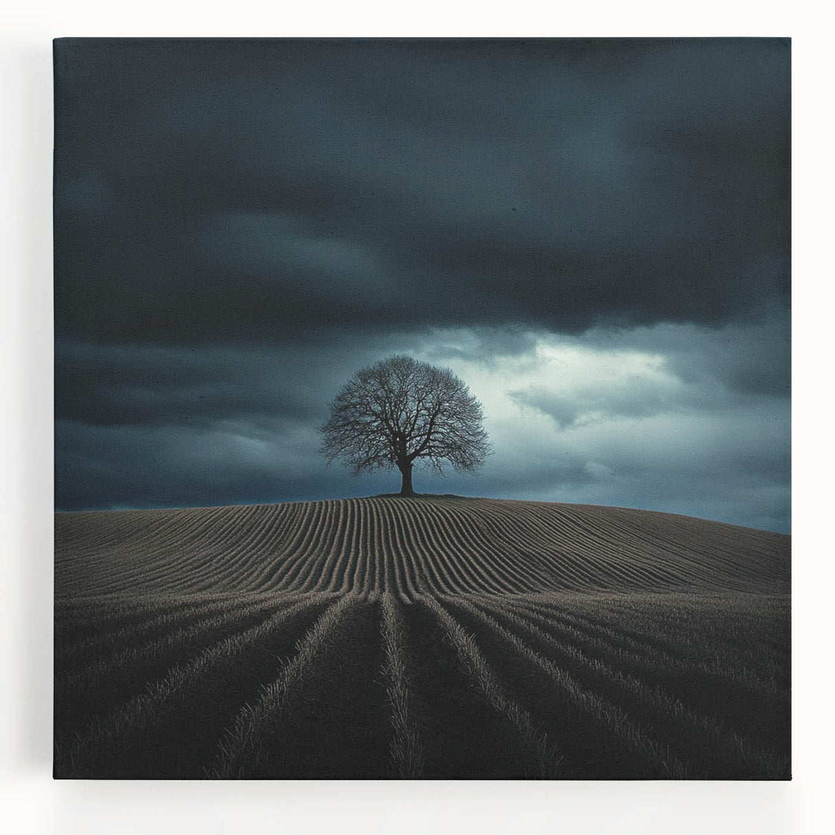 Dramatic Storm Tree – Moody Landscape & Nature Art Prints