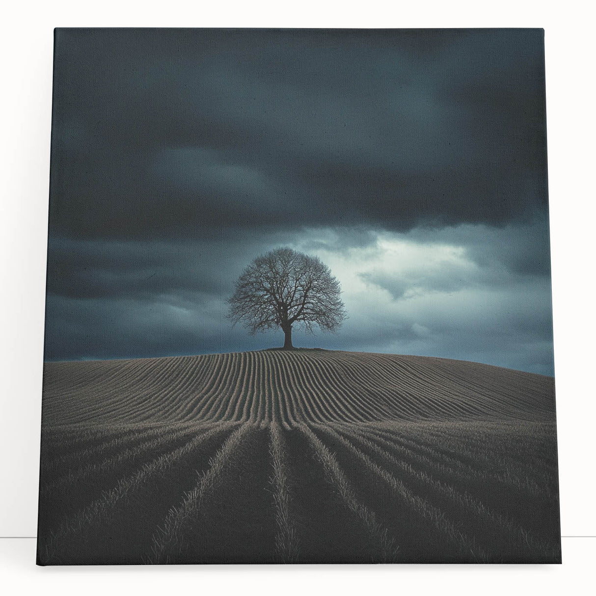 Dramatic Storm Tree – Moody Landscape & Nature Art Prints