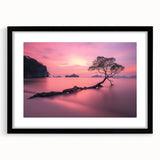 Tranquil Sunset Tree – Coastal Landscape & Nature Art Prints