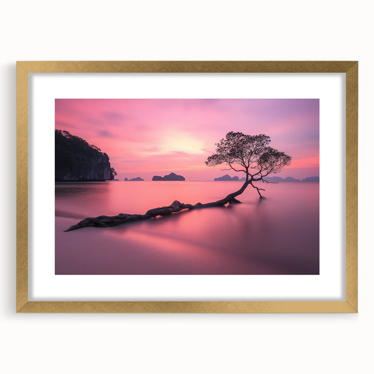 Tranquil Sunset Tree – Coastal Landscape & Nature Art Prints