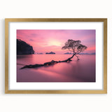 Tranquil Sunset Tree – Coastal Landscape & Nature Art Prints