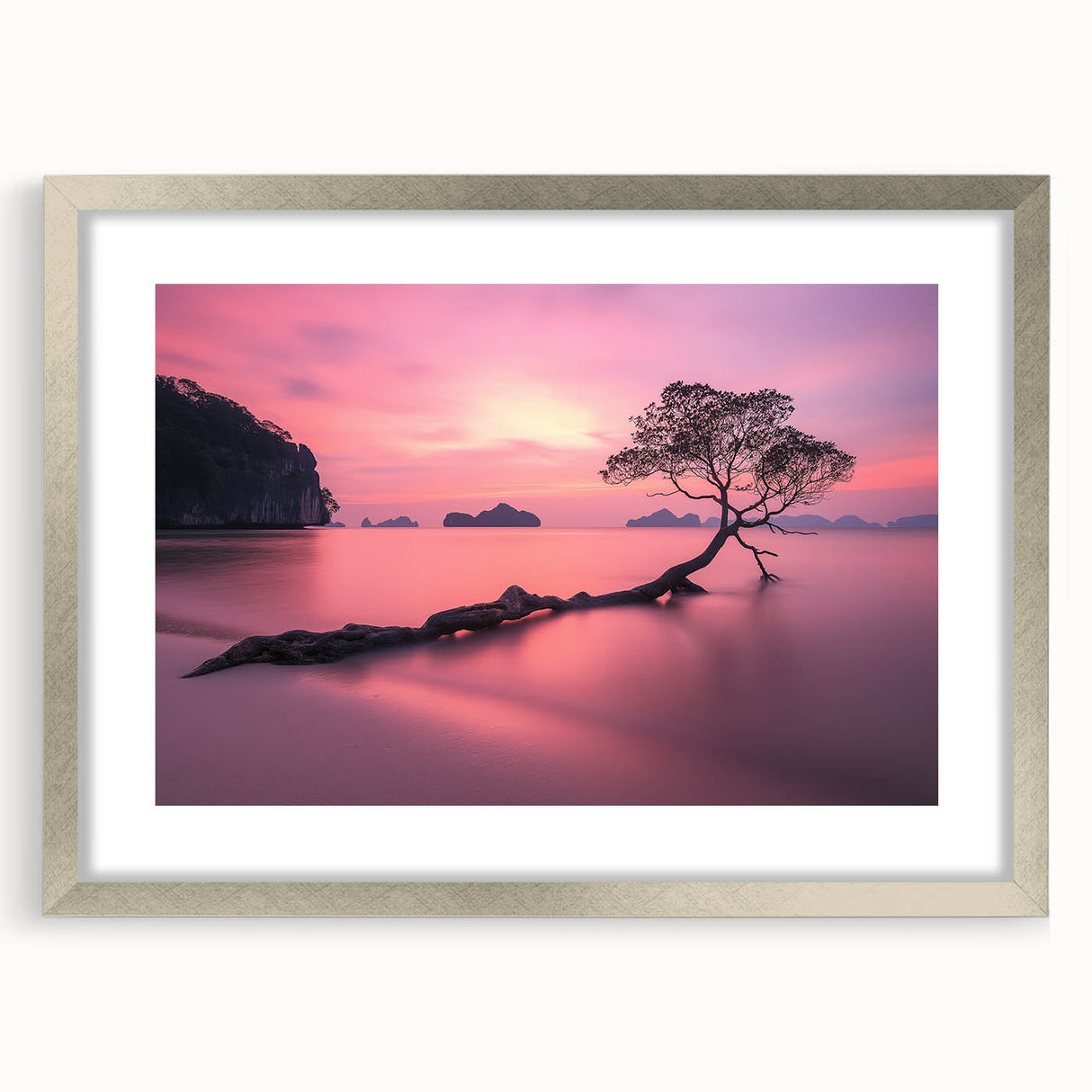 Tranquil Sunset Tree – Coastal Landscape & Nature Art Prints