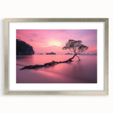 Tranquil Sunset Tree – Coastal Landscape & Nature Art Prints