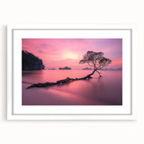 Tranquil Sunset Tree – Coastal Landscape & Nature Art Prints