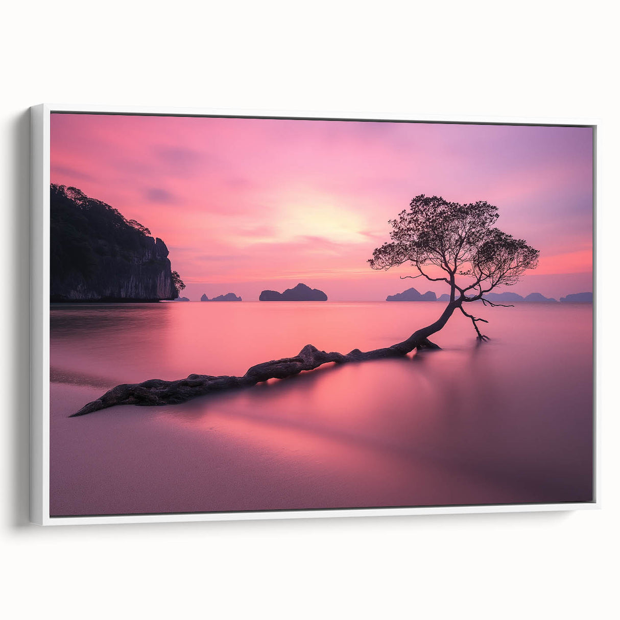 Tranquil Sunset Tree – Coastal Landscape & Nature Art Prints