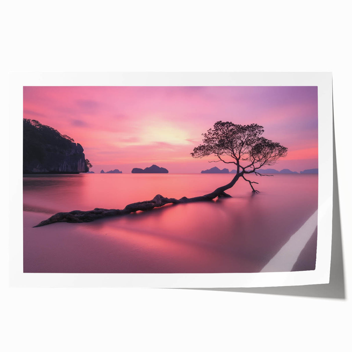 Tranquil Sunset Tree – Coastal Landscape & Nature Art Prints
