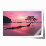 Tranquil Sunset Tree – Coastal Landscape & Nature Art Prints