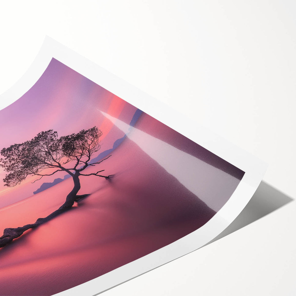 Tranquil Sunset Tree – Coastal Landscape & Nature Art Prints