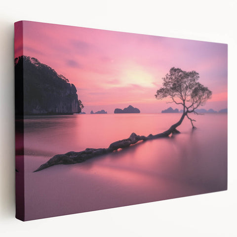 Tranquil Sunset Tree – Coastal Landscape & Nature Art Prints