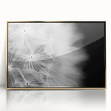Dandelion Macro Art - Fine Art Photography Framed Prints