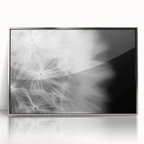 Dandelion Macro Art - Fine Art Photography Framed Prints