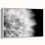 Dandelion Macro Art - Fine Art Photography Framed Prints