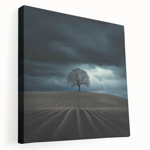 Black and White Minimalist Landscapes – Dramatic Stormy Tree Print