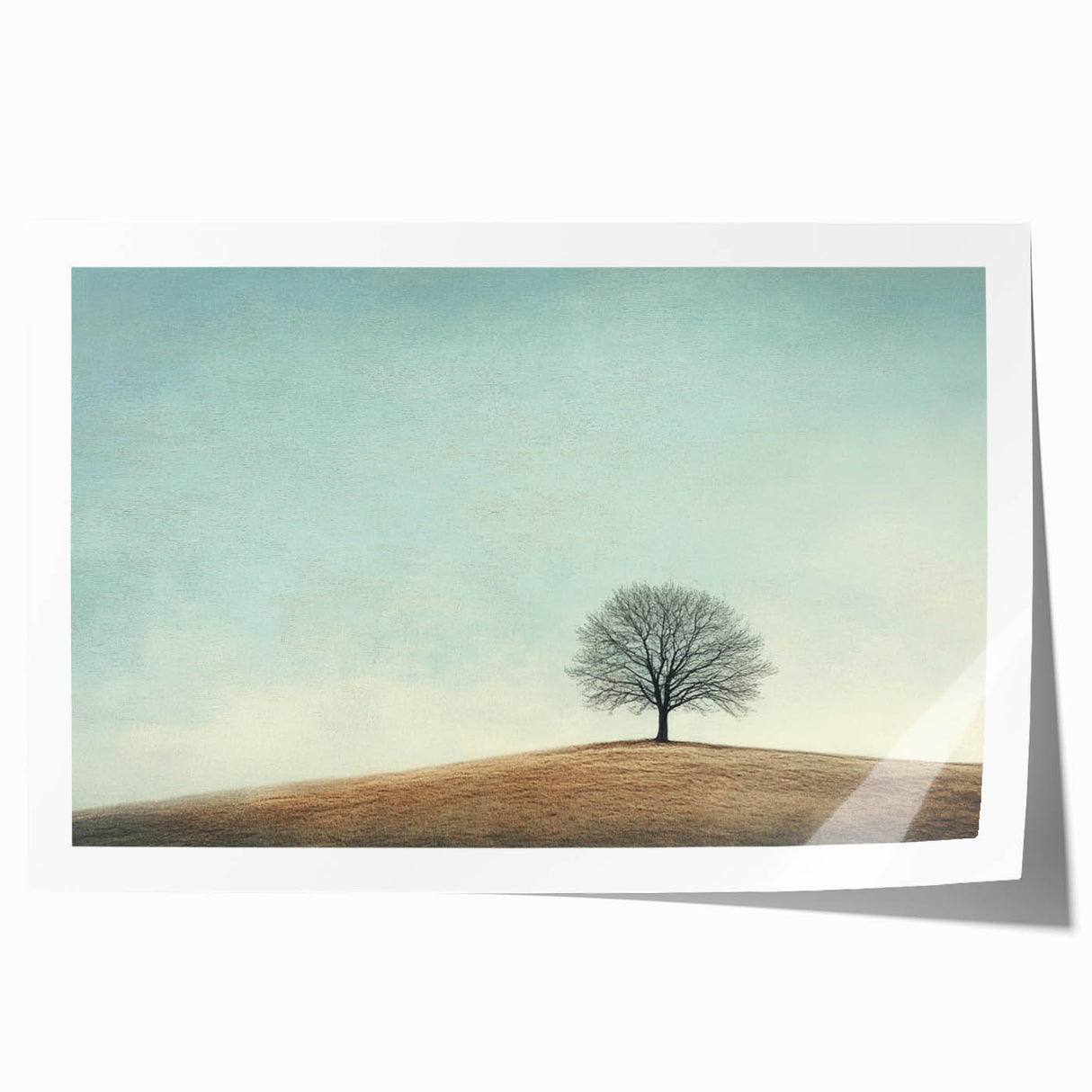 Solitary Tree on Hill - Fine Art Photography Canvas Prints