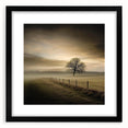 Misty Countryside Tree - Fine Art Photography Framed Prints