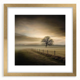 Misty Countryside Tree - Fine Art Photography Framed Prints