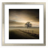 Misty Countryside Tree - Fine Art Photography Framed Prints