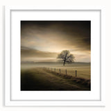 Misty Countryside Tree - Fine Art Photography Framed Prints
