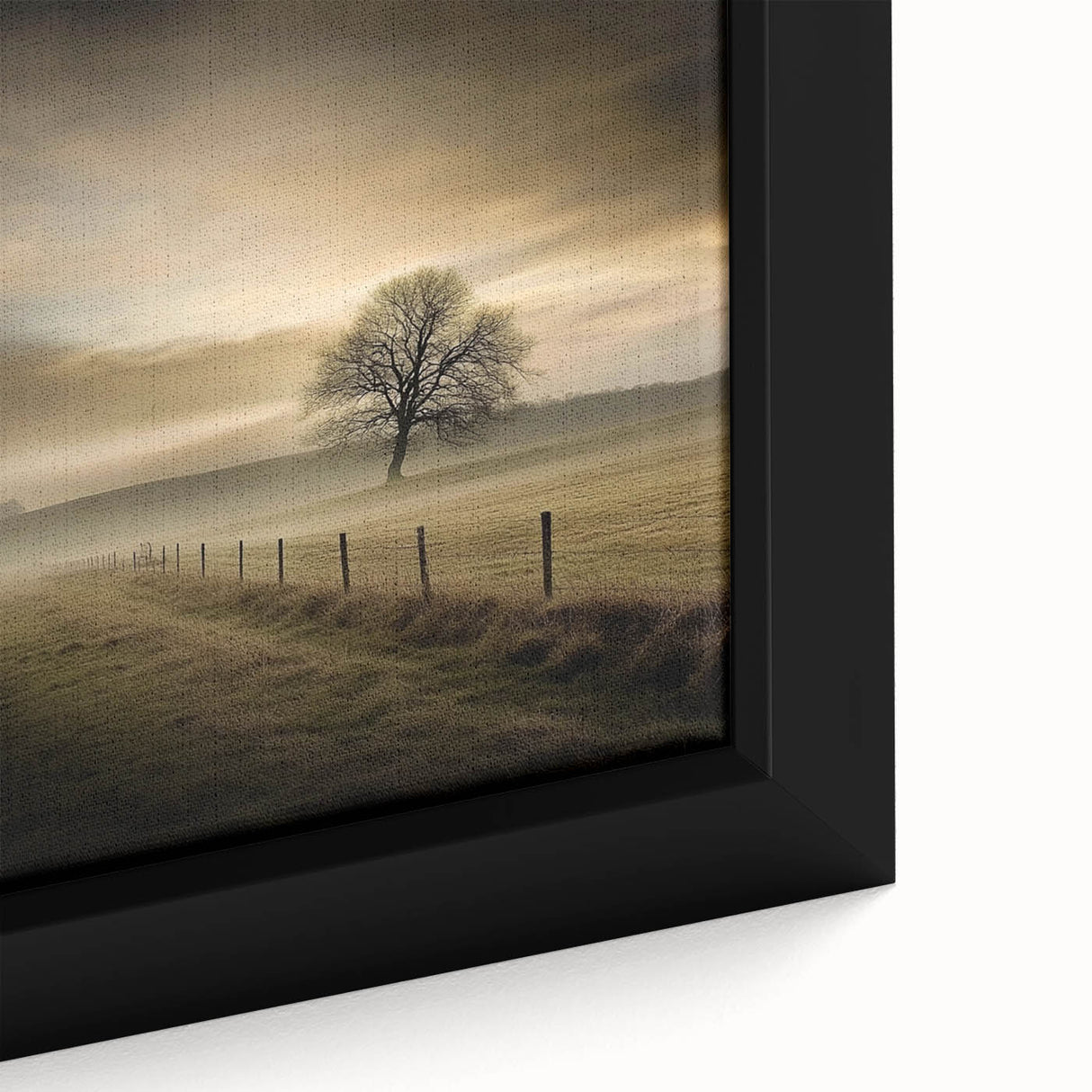 Misty Countryside Tree - Fine Art Photography Framed Prints