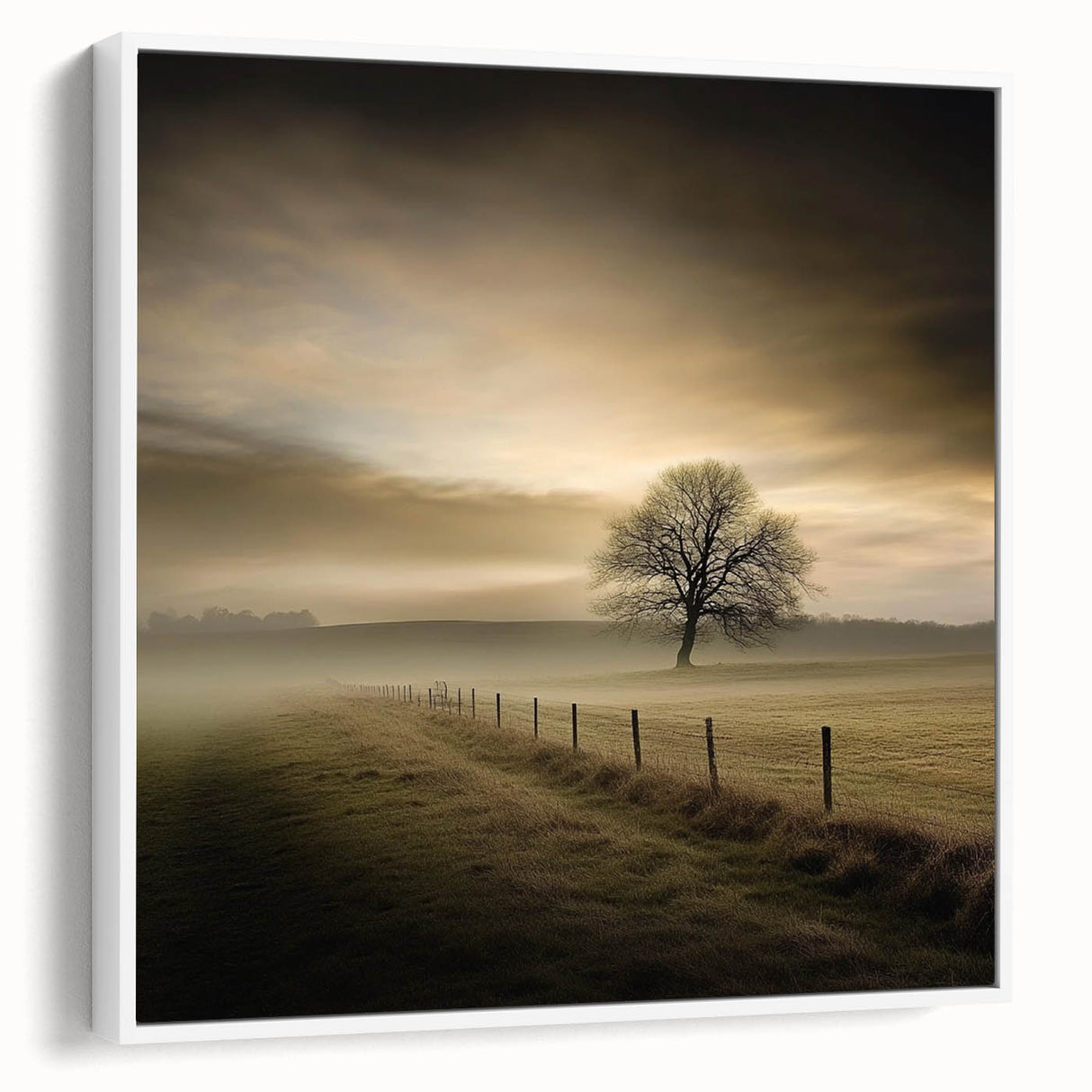 Misty Countryside Tree - Fine Art Photography Framed Prints