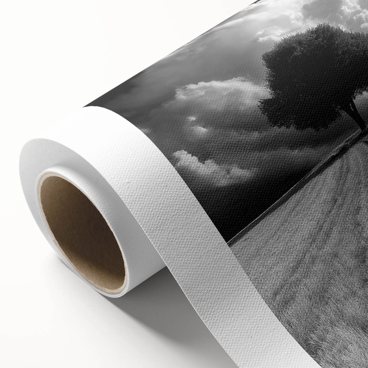 Dramatic Lone Tree - Fine Art Photography Metal Prints