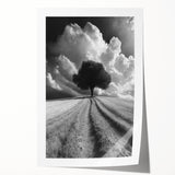 Dramatic Lone Tree - Fine Art Photography Metal Prints