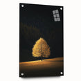 Golden Tree in Spotlight – Majestic Nature Art Print
