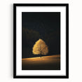 Golden Tree in Spotlight – Majestic Nature Art Print