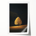 Golden Tree in Spotlight – Majestic Nature Art Print