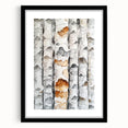 Birch Tree Watercolor – Elegant Botanical Wall Art Print