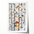 Birch Tree Watercolor – Elegant Botanical Wall Art Print