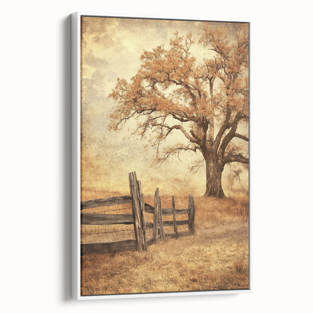Rustic Autumn Tree - Fine Art Photography Framed Prints