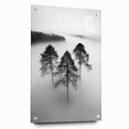 Misty Forest Trio - Fine Art Photography Framed Prints
