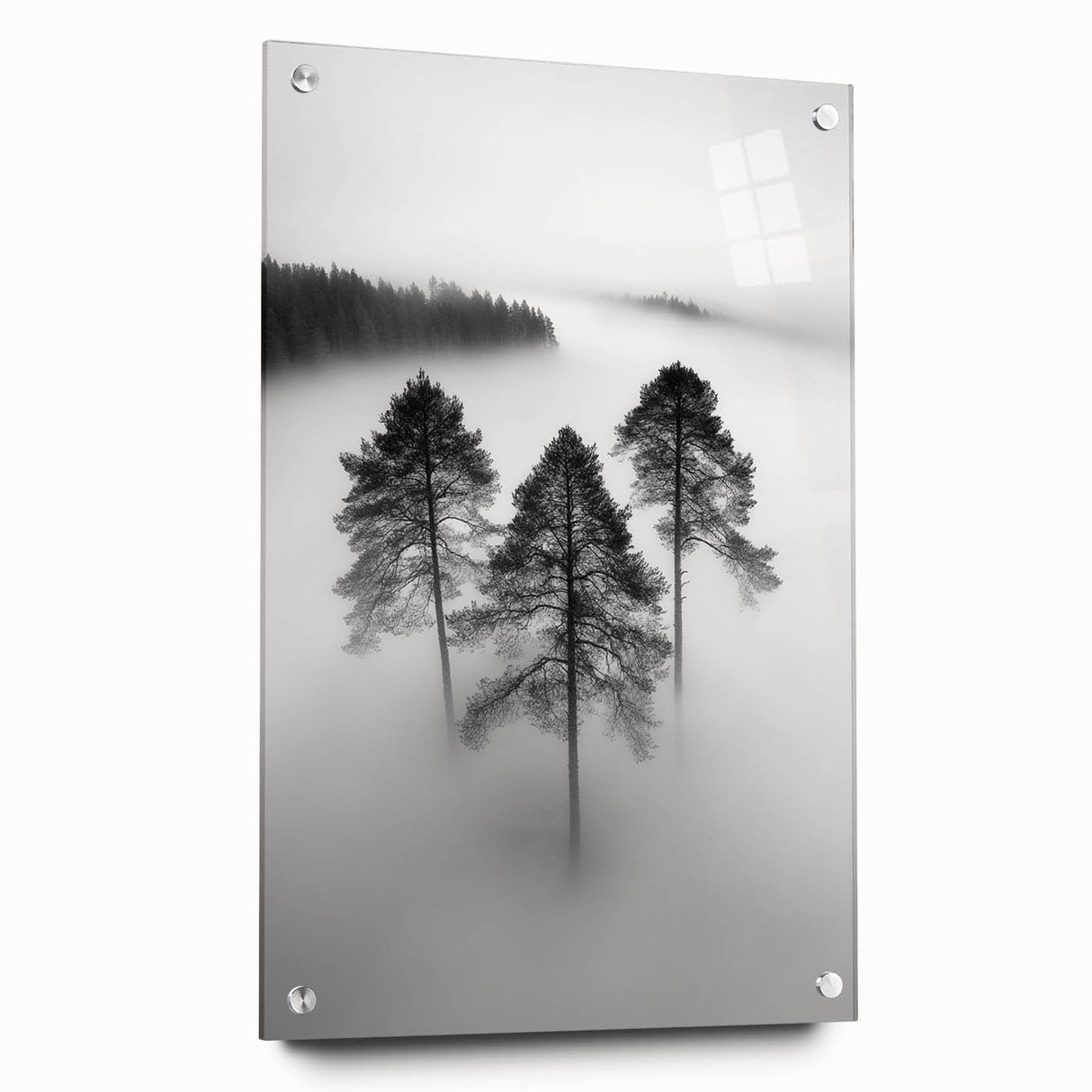 Misty Forest Trio - Fine Art Photography Framed Prints