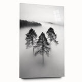 Misty Forest Trio - Fine Art Photography Framed Prints
