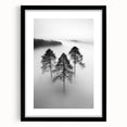 Misty Forest Trio - Fine Art Photography Framed Prints