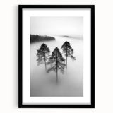 Misty Forest Trio - Fine Art Photography Framed Prints