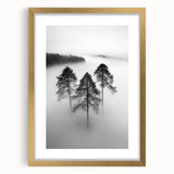 Misty Forest Trio - Fine Art Photography Framed Prints