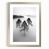 Misty Forest Trio - Fine Art Photography Framed Prints