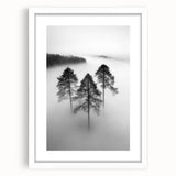 Misty Forest Trio - Fine Art Photography Framed Prints