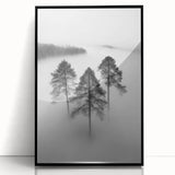 Misty Forest Trio - Fine Art Photography Framed Prints