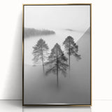 Misty Forest Trio - Fine Art Photography Framed Prints