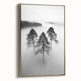 Misty Forest Trio - Fine Art Photography Framed Prints