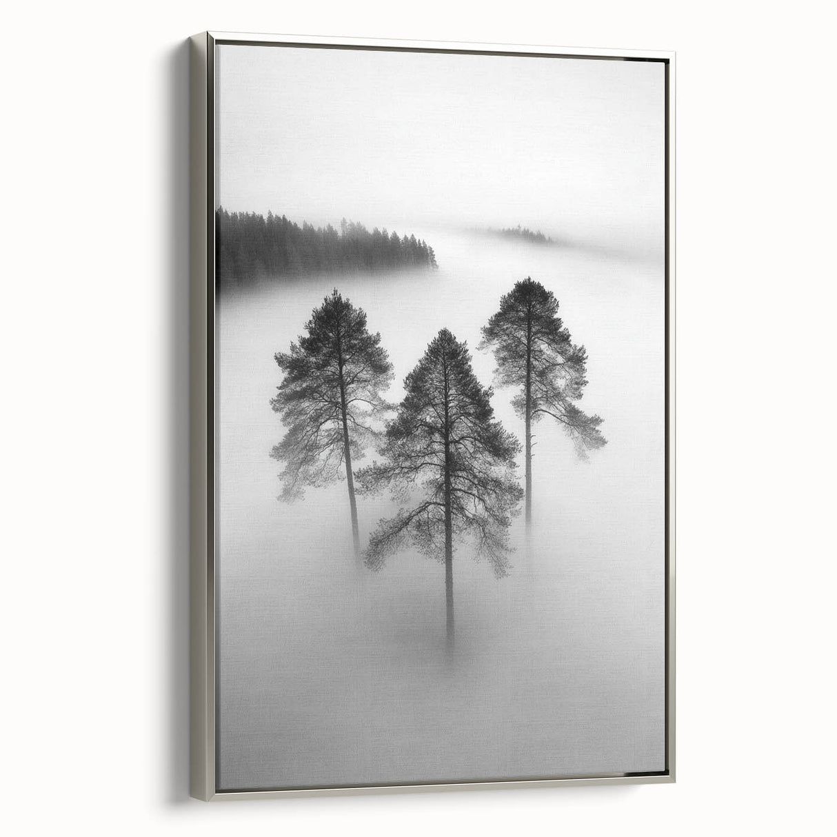 Misty Forest Trio - Fine Art Photography Framed Prints