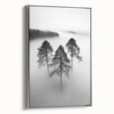 Misty Forest Trio - Fine Art Photography Framed Prints