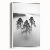 Misty Forest Trio - Fine Art Photography Framed Prints