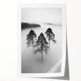 Misty Forest Trio - Fine Art Photography Framed Prints