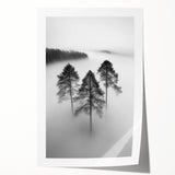 Misty Forest Trio - Fine Art Photography Framed Prints
