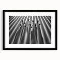 Urban Skyline Canvas Prints - Abstract Shadow City Art