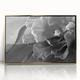 Monochrome Tulip Bloom - Fine Art Photography Framed Prints